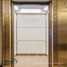 Luxe Design Bright LED Ceiling Passenger Elevator